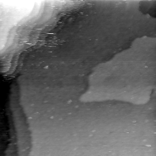 08100900BG