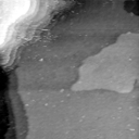 08100900BG