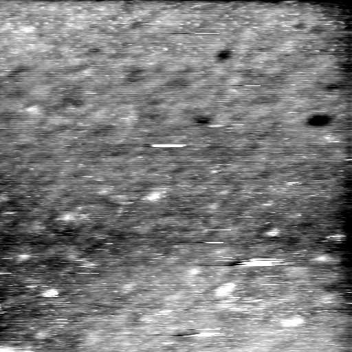 08100900BH