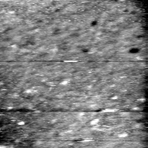 08100900BH