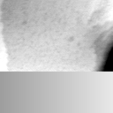 08100900BI