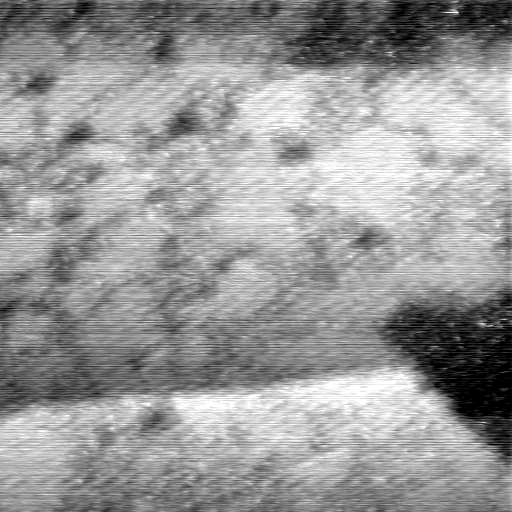 08100900BL