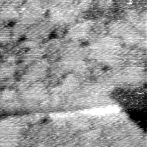 08100900BL