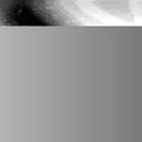 08100900BN