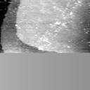 08100900BO