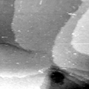 08100900BQ