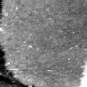 08100900BR