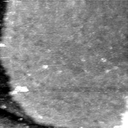 08100900BS
