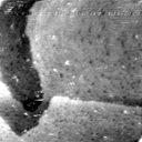 08100900BU