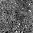 08100900BV