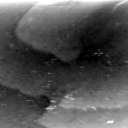 08100900BW