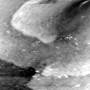 08100900BW