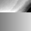 08100900BX