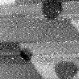 08112020AO