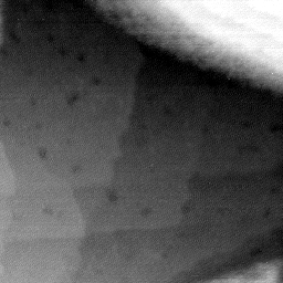08152019AI