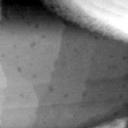 08152019AI