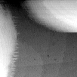 08152019AN