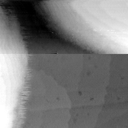 08152019AN