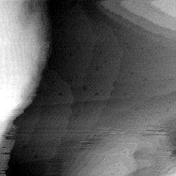 08152019AR