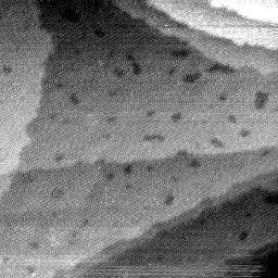 08152019AT