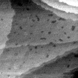 08152019AT