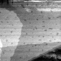 08152019AV