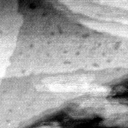 08152019BB