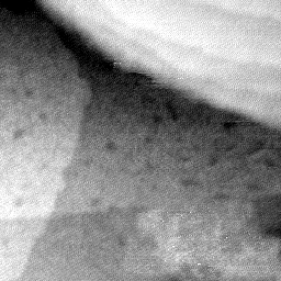 08152019BG