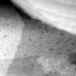 08152019BG