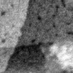 08152019BH