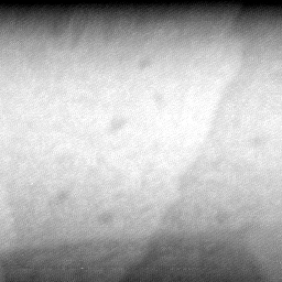 08152019BI