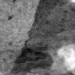 08152019BN
