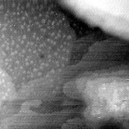 08152019BQ
