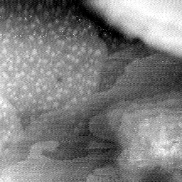 08152019BQ