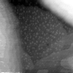 08152019BR