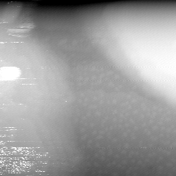 08152019BS