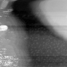 08152019BS