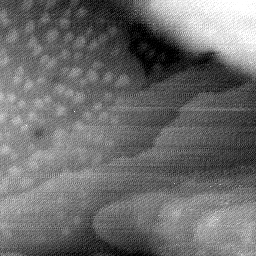 08152019BW