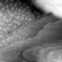 08152019BW
