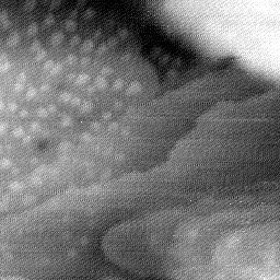 08152019BW