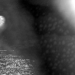 08152019BX
