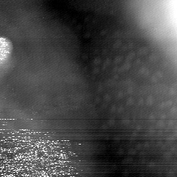 08152019BX