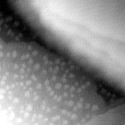08152019BY