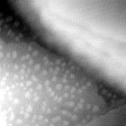 08152019BY