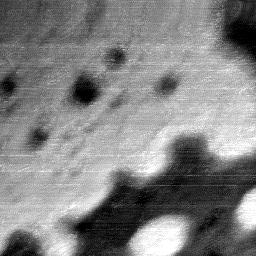08192020AG
