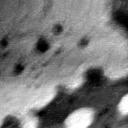 08192020AG