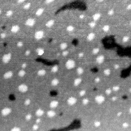 08192020BC