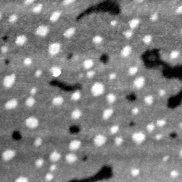 08192020BC