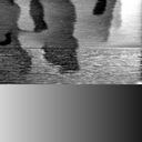 08310900AR