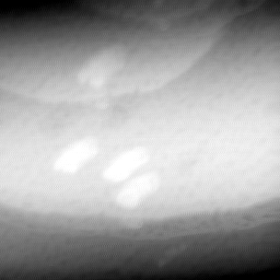 09022020BH